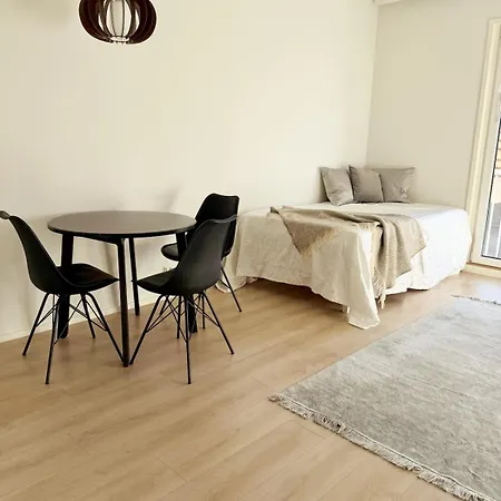 City Apartment Oulu 아파트 *